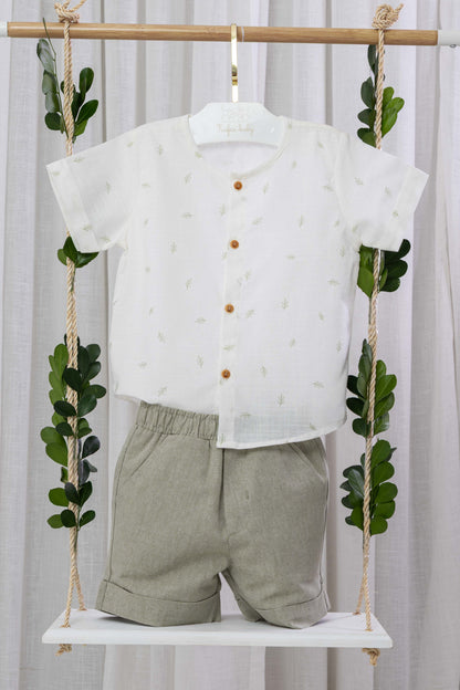 Conjunto Dryas Ref: