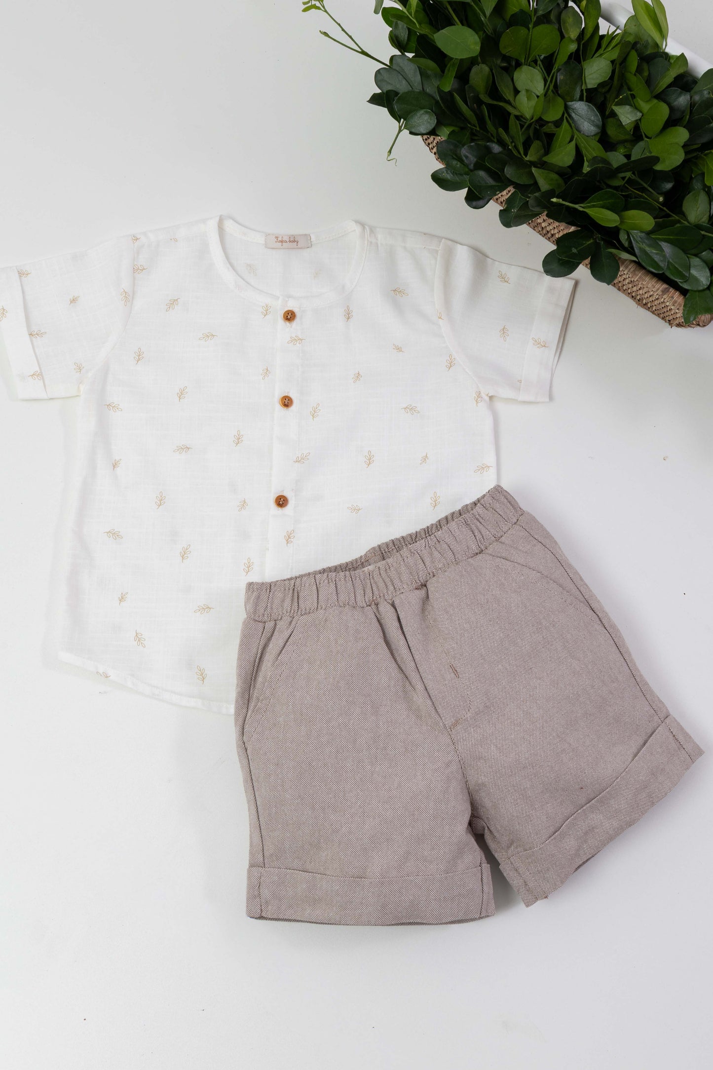 Conjunto Dryas Ref: